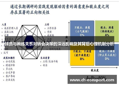球员与教练关系对转会决策的深远影响及其背后心理机制分析
