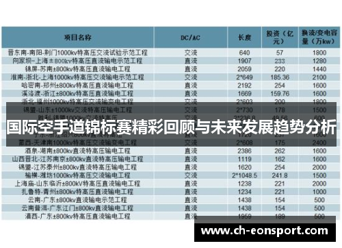 国际空手道锦标赛精彩回顾与未来发展趋势分析