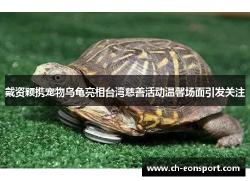 戴资颖携宠物乌龟亮相台湾慈善活动温馨场面引发关注