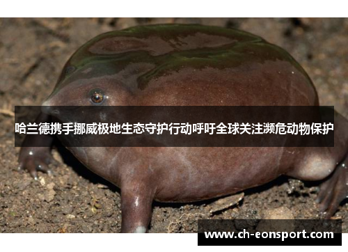 哈兰德携手挪威极地生态守护行动呼吁全球关注濒危动物保护