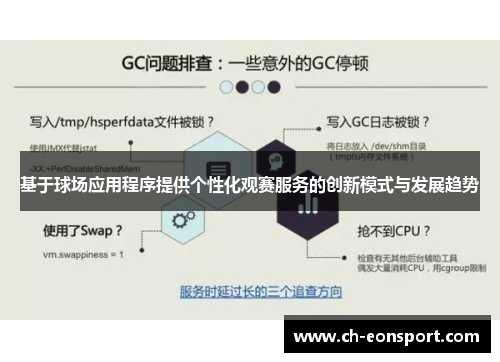 基于球场应用程序提供个性化观赛服务的创新模式与发展趋势