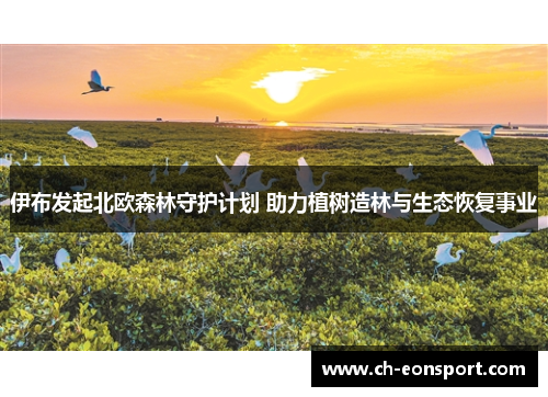 伊布发起北欧森林守护计划 助力植树造林与生态恢复事业