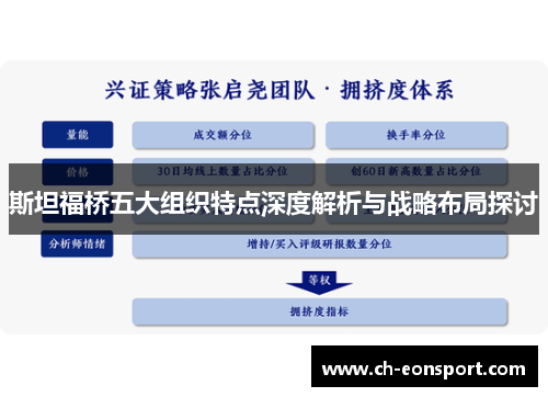 斯坦福桥五大组织特点深度解析与战略布局探讨