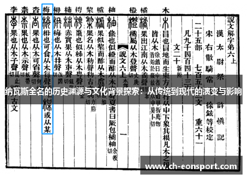 纳瓦斯全名的历史渊源与文化背景探索：从传统到现代的演变与影响